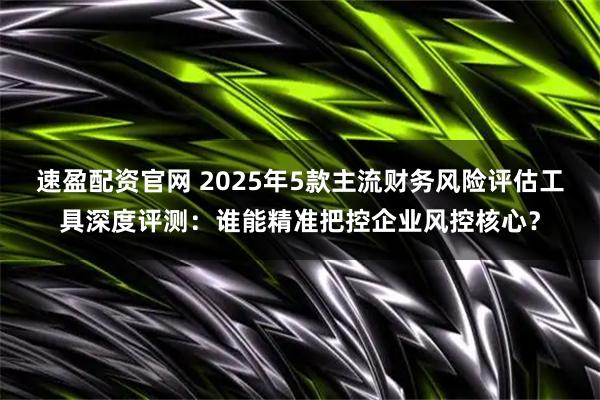 速盈配资官网 2025年5款主流财务风险评估工具深度评测：谁能精准把控企业风控核心？