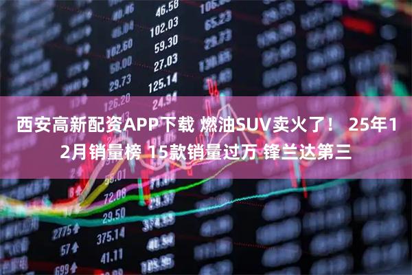 西安高新配资APP下载 燃油SUV卖火了！ 25年12月销量榜 15款销量过万 锋兰达第三