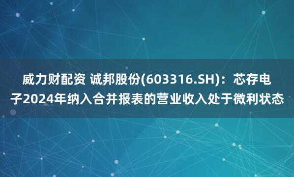 威力财配资 诚邦股份(603316.SH)：芯存电子2024年纳入合并报表的营业收入处于微利状态