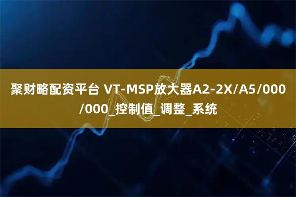 聚财略配资平台 VT-MSP放大器A2-2X/A5/000/000_控制值_调整_系统
