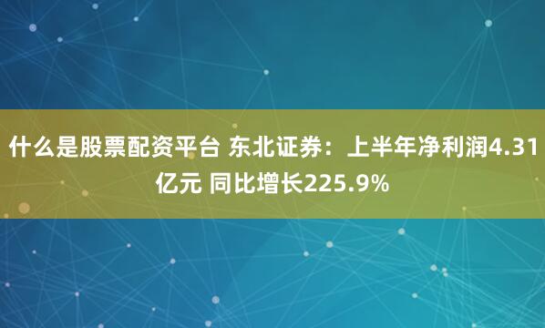 什么是股票配资平台 东北证券：上半年净利润4.31亿元 同比增长225.9%