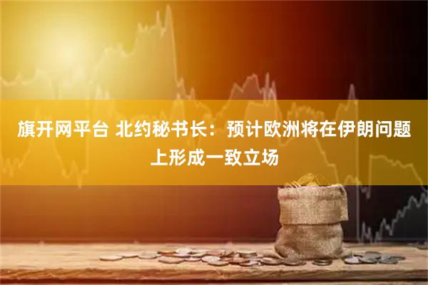 旗开网平台 北约秘书长：预计欧洲将在伊朗问题上形成一致立场